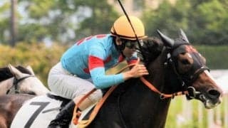 【フローラS】良血バロッサヴァレー 全兄スワーヴリチャードに続く重賞勝ちなるか