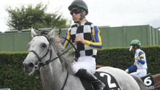 菊花賞1番人気馬がマイラーズCに参戦 芦毛のキタサンブラック産駒が重賞2勝目狙う