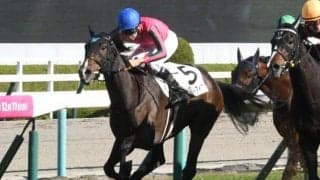 【フローラS予想】AIが指名したのは人気上位の一頭 臨戦過程の優れた馬を素直に信頼