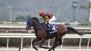 【マイラーズC展望】新・京都競馬場の重賞第一弾、開幕週でスピード必須