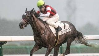 ゴールドシップ産駒大得意の福島芝1800m 福島牝馬Sに注目の1頭が参戦