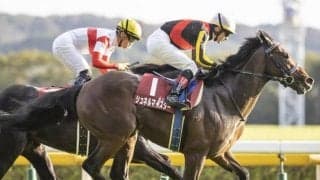 【マイラーズC枠順確定】シュネルマイスターは6枠10番、ジャスティンスカイは2枠3番