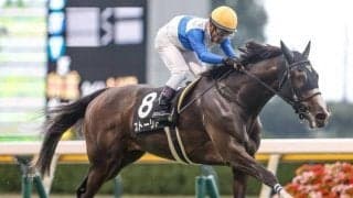 【福島牝馬S枠順確定】ストーリアは7枠13番、クリノプレミアムは6枠11番