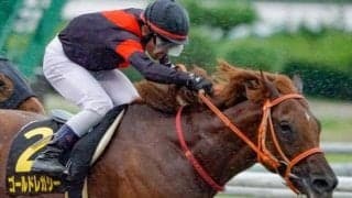 オアシスSは伏兵の大駆けに期待 東京替わりは大歓迎ゴールドレガシー