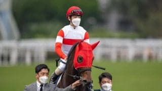 2023香港チャンピオンズデー 日本馬4頭が香港に到着