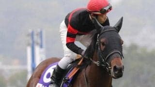 前残り濃厚の京都芝1200mで狙える逃げ馬 土曜の馬場傾向と注目馬