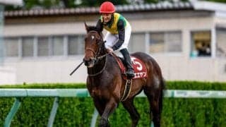 武豊騎手×オオバンブルマイなど NHKマイルC出走想定馬18頭