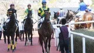 【今日の注目ポイント】京都競馬場がリニューアルされ2年半ぶりに再開