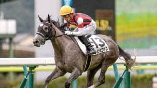 【福島牝馬S予想】ヴィクトリアMとのつながりよりも中山牝馬Sとの関連性を重視