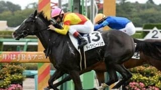 フローラＳで本命に推すのは牝系の血統がゴージャスな２頭 ここからオークスへと羽ばたきそうなのは？