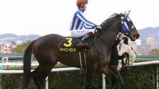 マイラーズＣは新装・京都のクッションの利いた馬場に合いそうな伏兵２頭の大駆けに要注意