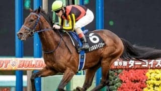 馬場好転で絶好の狙い目！ 堅軸シュネルマイスターの相手として面白い穴馬候補