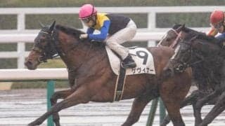 2年ぶりの実戦復帰 期待の素質馬ゲヴィナーが復帰戦を勝利で飾る