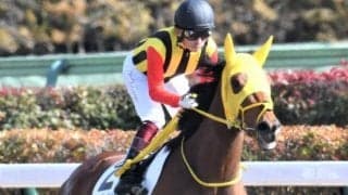 馬体から光る良馬場ダート適性 パワー型のフィンガークリックが２勝目を狙う