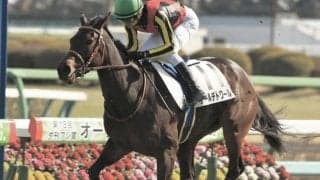 再転入2戦目＆減量起用で一変 土曜福島8Rはテールデトワールで勝負だ