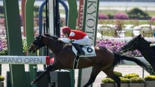 京都競馬場グランドオープン開幕レースはウィズユアドリームが逃げ切りV