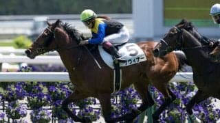 【京都6R】今村聖奈が新生・京都競馬場で初勝利