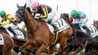 【フローラS予想】上位人気馬に死角あり!? キャリアがもたらす影響とは