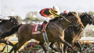 【マイラーズC前日オッズ】シュネルマイスターが2.5倍で1番人気