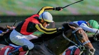 馬場傾向から日曜日の好走馬を予想 マイラーズCは持ち時計上位の馬に期待
