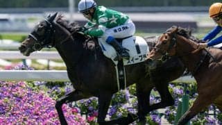 【京都3R】田口貫太騎乗、スイープランが最内から抜け出す