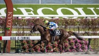 【京都競馬場グランドOP記念】池添謙一騎乗、ドンフランキーが逃げ切る