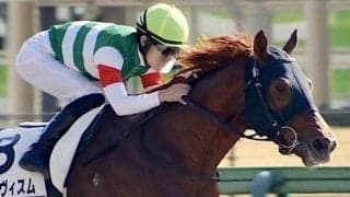 【鎌倉S予想】東京ダ1400ベスト 昇級不問で連勝期待