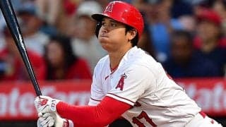 【MLB】「顔パンパン」の大谷翔平に賛否　人気映画キャラのはずが…驚愕変身に「吹いた」