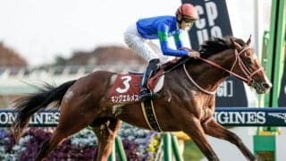 【マイラーズC予想】路盤改修で傾向に変化は生まれるか