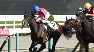 【フローラS予想】オークス好走の鍵は余力を残せるか否か 内容にも注目したい前哨戦