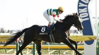 青葉賞に臨むスキルヴィングは陣営絶賛の逸材 キタサンブラック産駒からまたも大物登場か