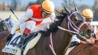 前走Vは同日の古馬2勝よりも速い時計 福島中央テレビ杯で連勝だ