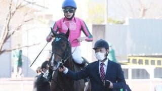 【フローラS予想】激走傾向2枠と8枠は継続中？ さらに狙える前走ローテと血統とは？