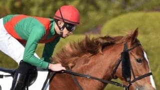 【日曜京都12R予想】不利があっても大崩れなし 末脚自慢が巻き返す