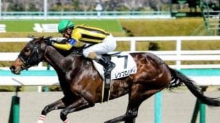 【フローラS予想】産駒の勝率32％＋早い時期の重賞に強い血統 重賞初挑戦でも激走期待