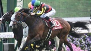 【マイラーズC結果】シュネルマイスターが京都開幕重賞を制す 1年半ぶりの復活V