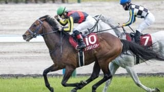 【マイラーズC】シュネルマイスターが貫禄の差し切りV