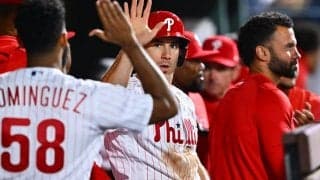 【MLB】打者に“惑わされた”球審は「酷い」　指さしアピールの死球が「アカデミー賞もの」