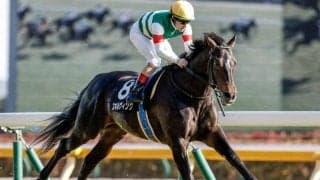 【青葉賞】スキルヴィング、ハーツコンチェルトらが登録