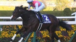 【NHKマイルC】ドルチェモア、エエヤンらが登録