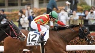 【東京6R】ルメール騎乗、パライバトルマリンが際どく逃げ切る