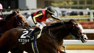 【新緑賞】単勝1.2倍 サスツルギが人気に応える
