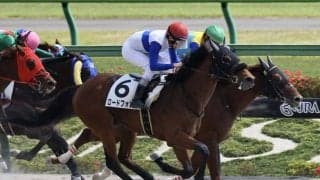 【東京6R】ロードフォンスが差し切って2勝目