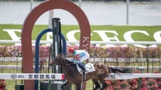 【京都6R】武豊騎乗 ヤマニンウルスが6馬身差圧勝