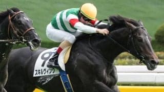 【青葉賞登録馬】スキルヴィングなど18頭