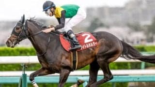 【天皇賞・春見どころ】前年覇者タイトルホルダーは淀でも栄冠を掴めるか