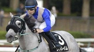 リフレイムがコントレイルの仔を受胎 腰の治療を受けながら繁殖入り