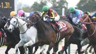 【マイラーズC】売上は68億7627万3100円で昨年より約5億円増加