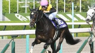 【AI予想・天皇賞(春)】世代交代はまだ早い!? 長丁場で見せる圧倒的な強さ