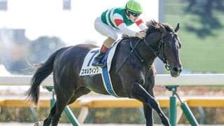 【青葉賞想定騎手】スキルヴィングはC.ルメール騎手、サヴォーナは池添謙一騎手